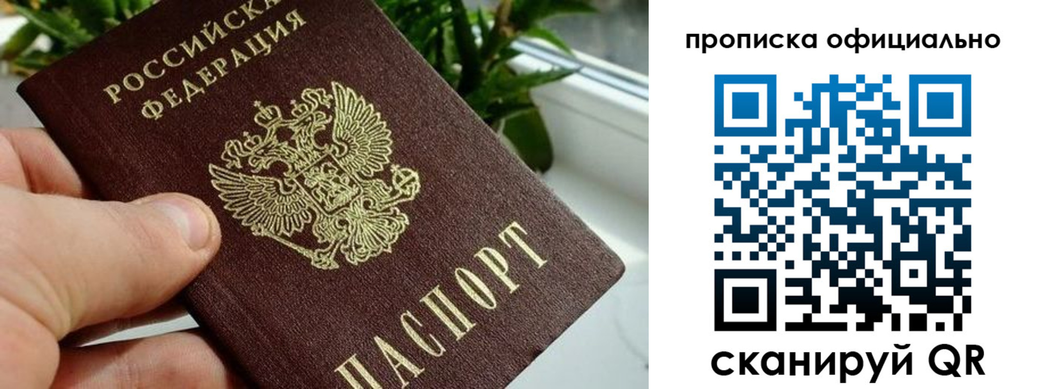 прописка поиск в Тарко-Сале